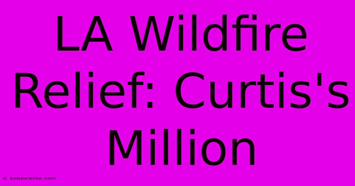 LA Wildfire Relief: Curtis's Million