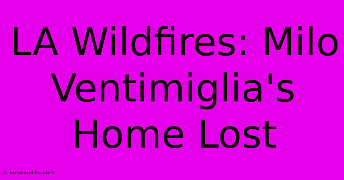 LA Wildfires: Milo Ventimiglia's Home Lost