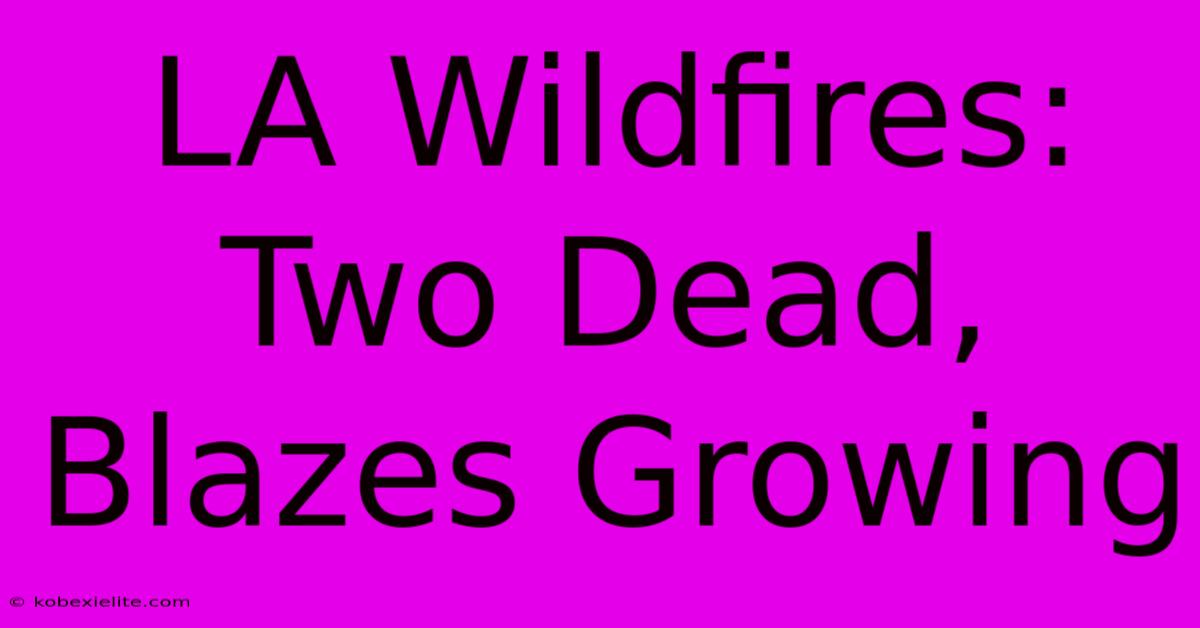 LA Wildfires: Two Dead, Blazes Growing