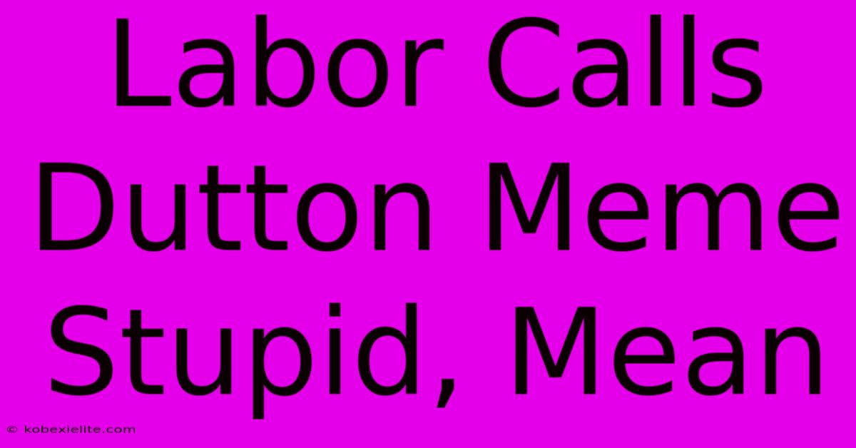 Labor Calls Dutton Meme Stupid, Mean