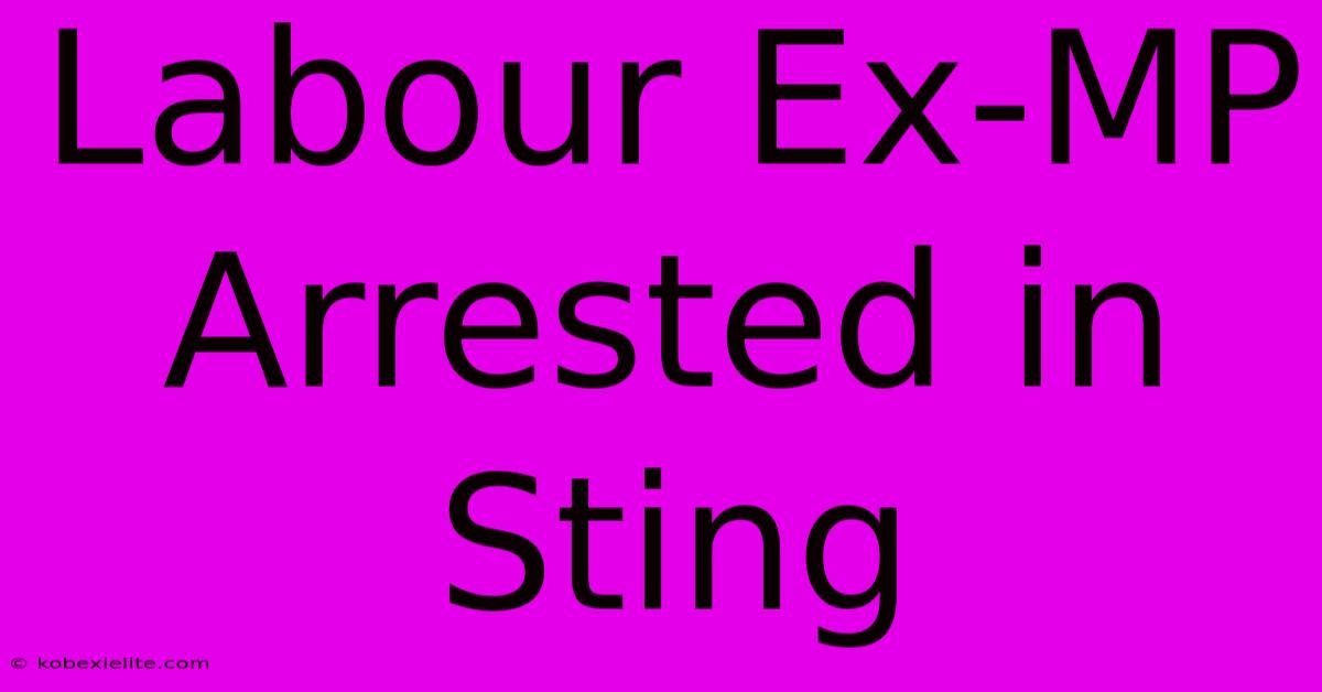 Labour Ex-MP Arrested In Sting