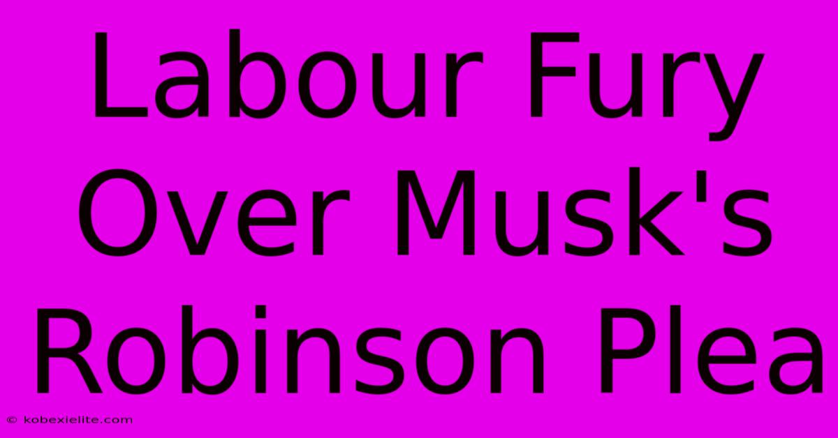 Labour Fury Over Musk's Robinson Plea