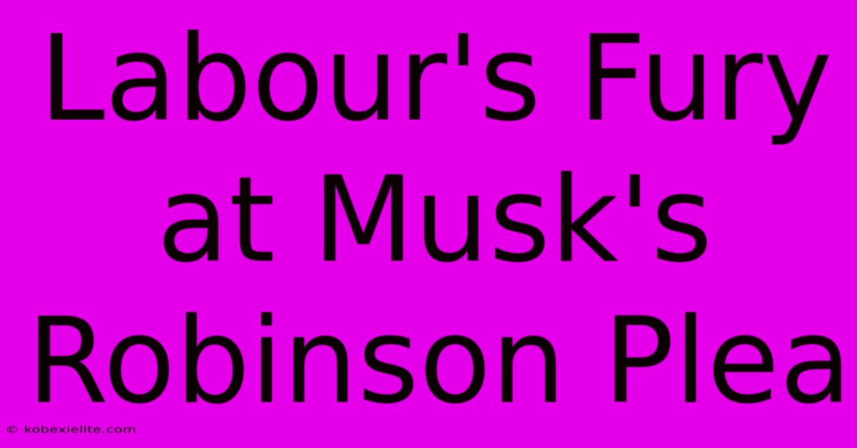 Labour's Fury At Musk's Robinson Plea