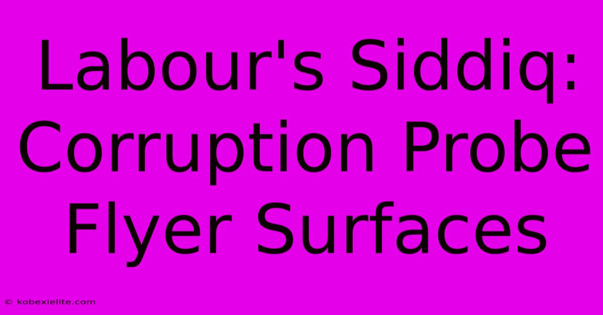 Labour's Siddiq: Corruption Probe Flyer Surfaces