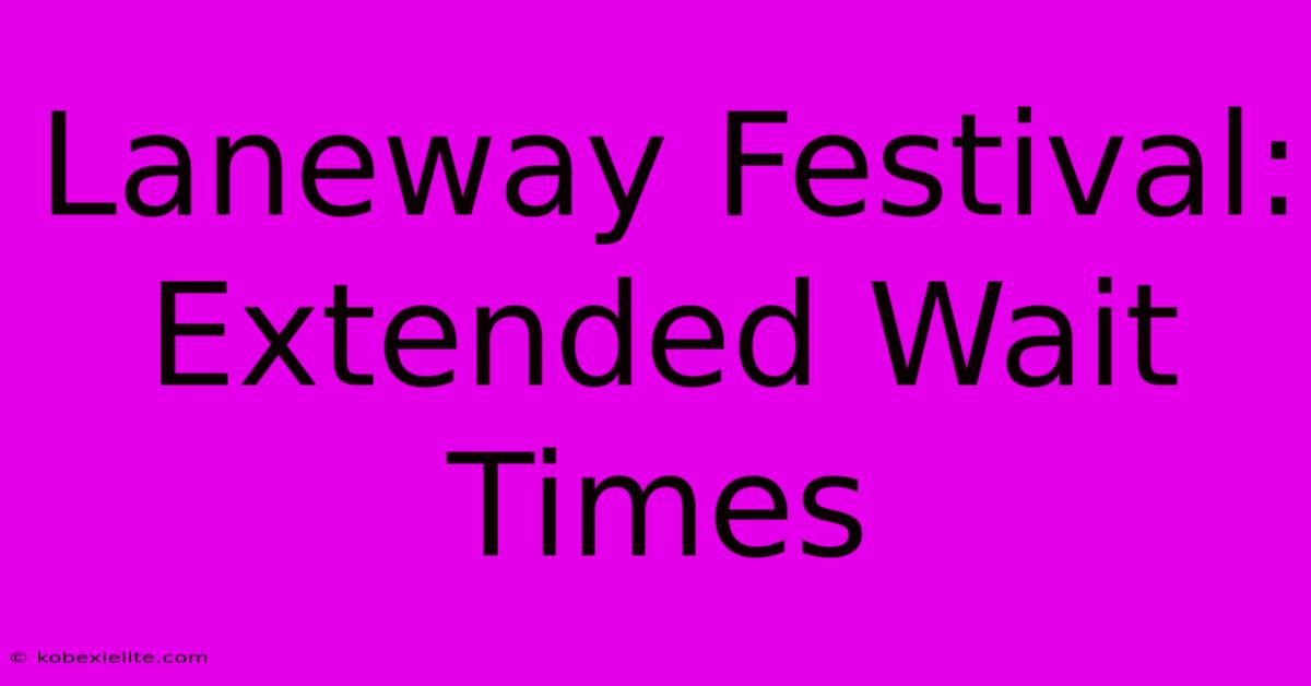 Laneway Festival: Extended Wait Times