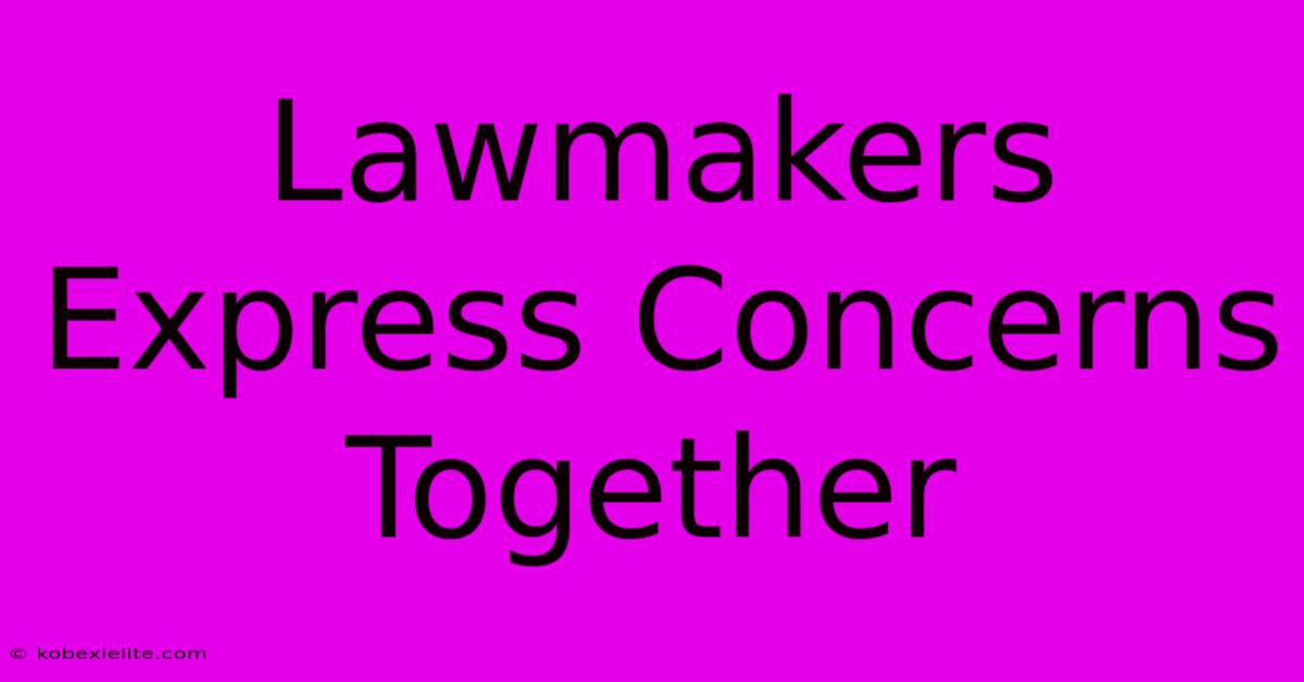 Lawmakers Express Concerns Together