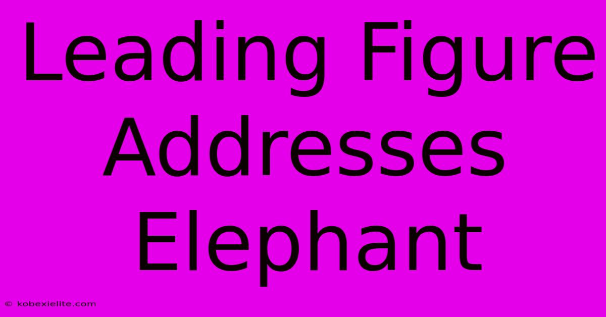 Leading Figure Addresses Elephant