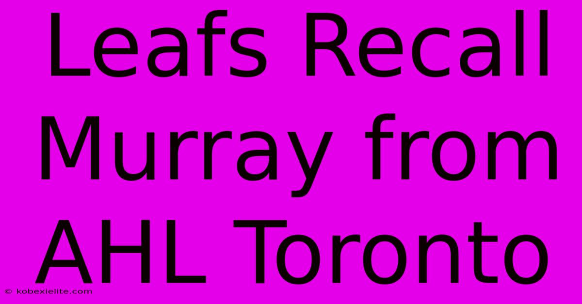 Leafs Recall Murray From AHL Toronto