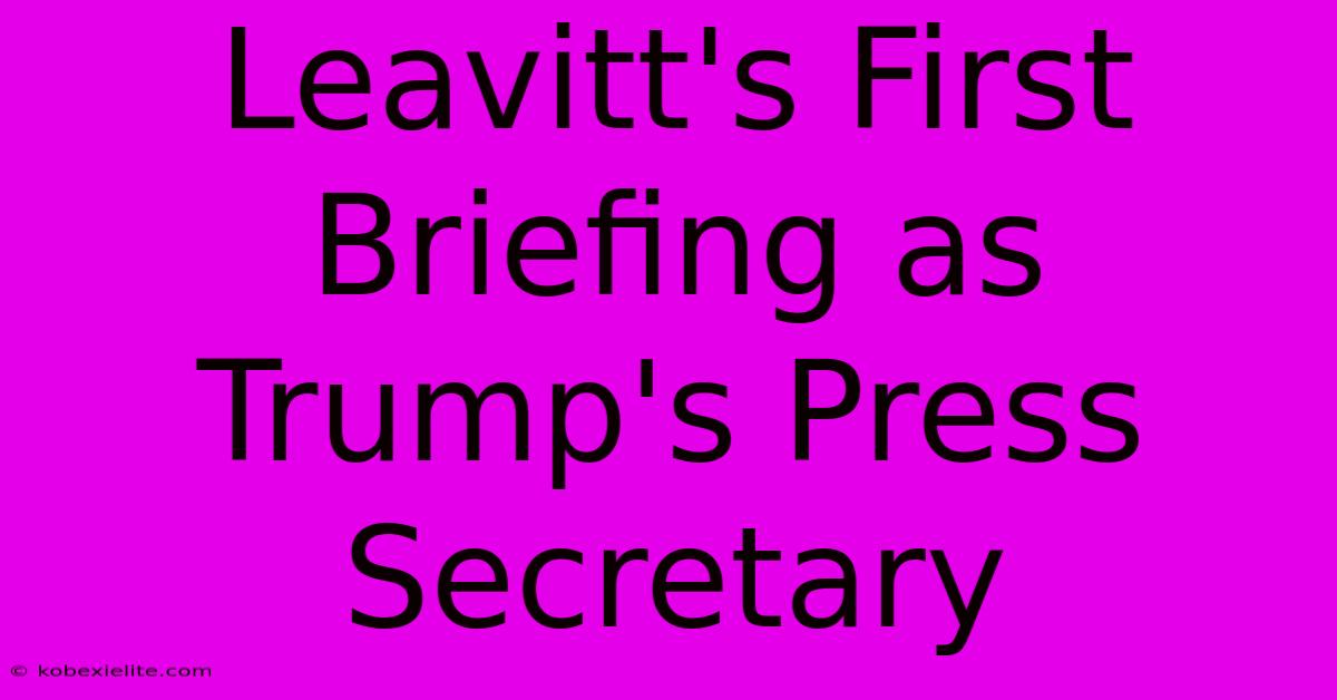 Leavitt's First Briefing As Trump's Press Secretary