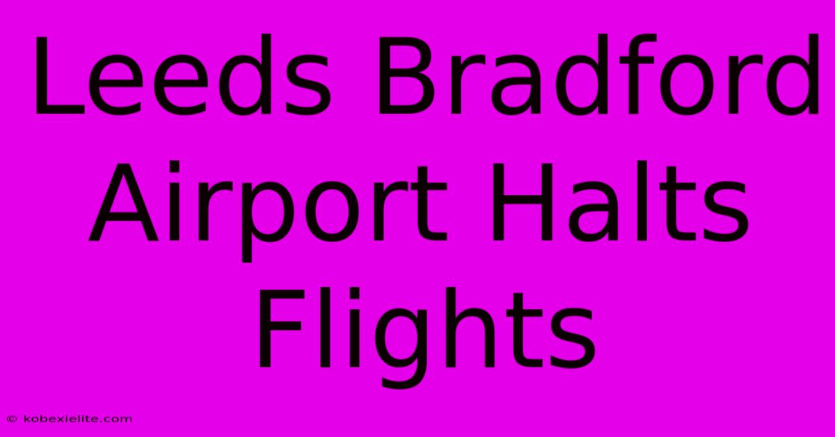 Leeds Bradford Airport Halts Flights