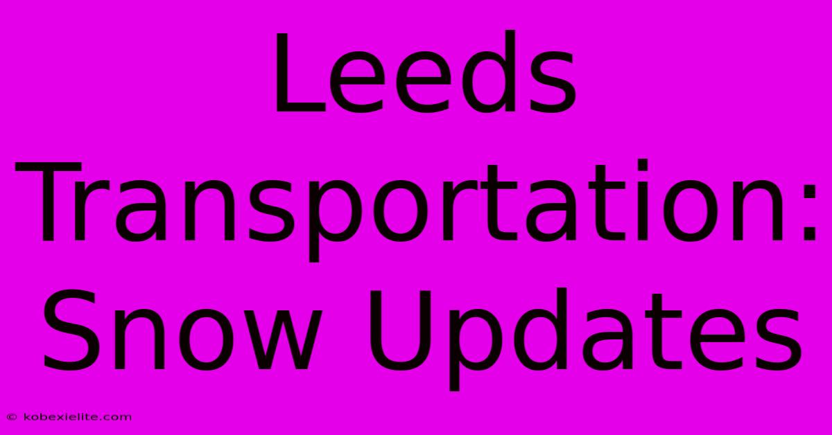 Leeds Transportation: Snow Updates