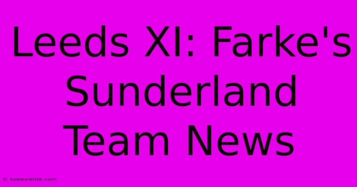 Leeds XI: Farke's Sunderland Team News