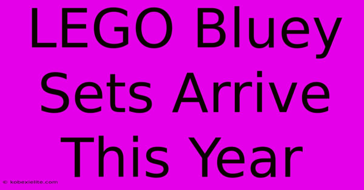 LEGO Bluey Sets Arrive This Year