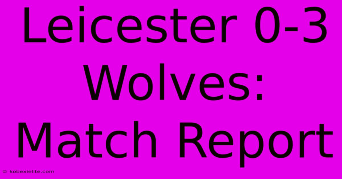 Leicester 0-3 Wolves: Match Report