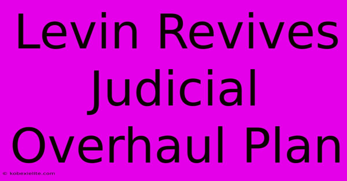 Levin Revives Judicial Overhaul Plan Levin Revives Judicial Overhaul Plan
