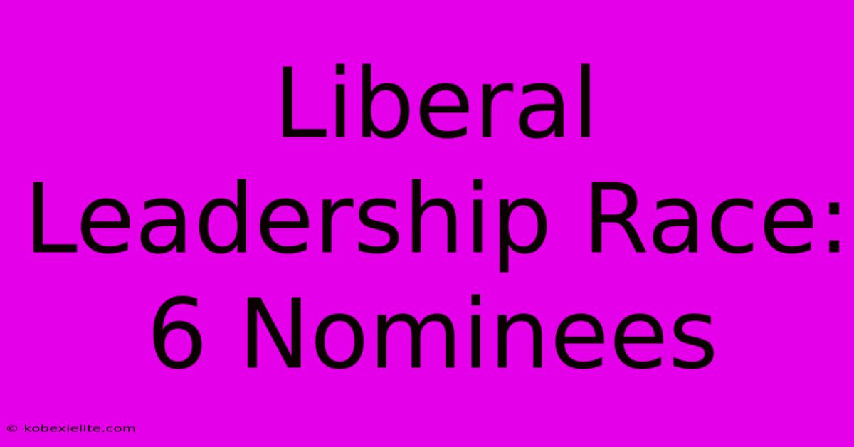 Liberal Leadership Race: 6 Nominees