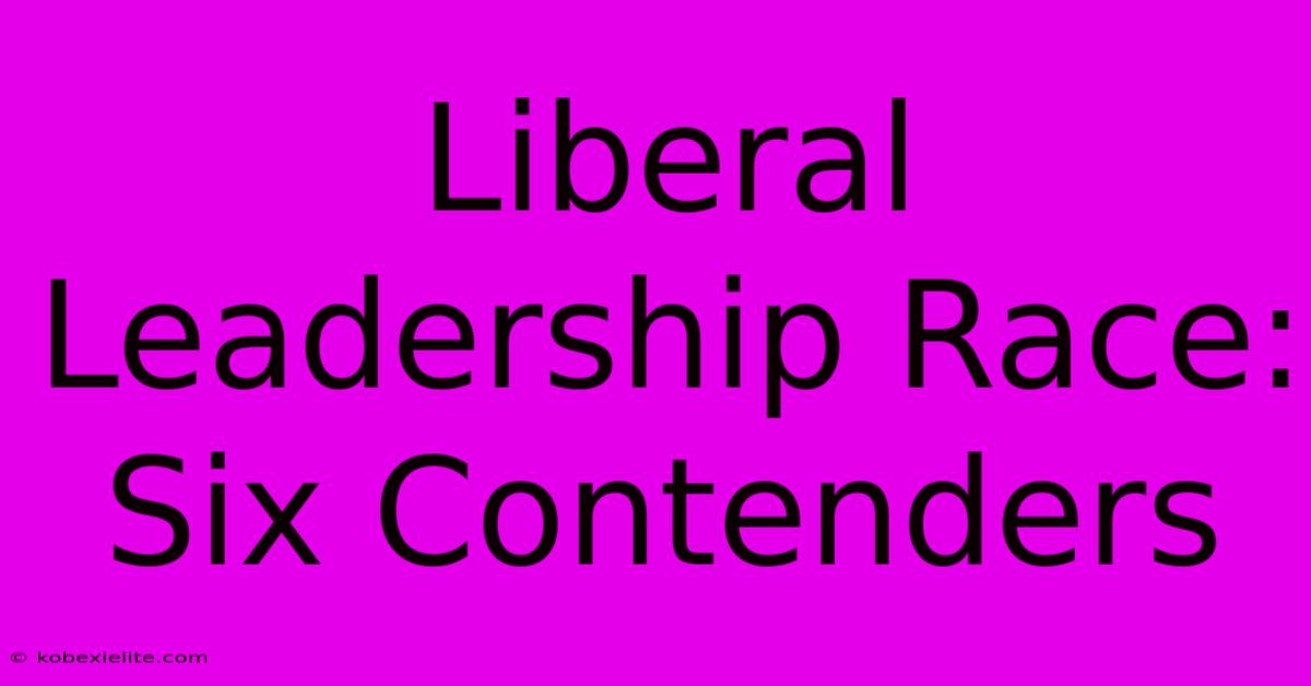 Liberal Leadership Race: Six Contenders