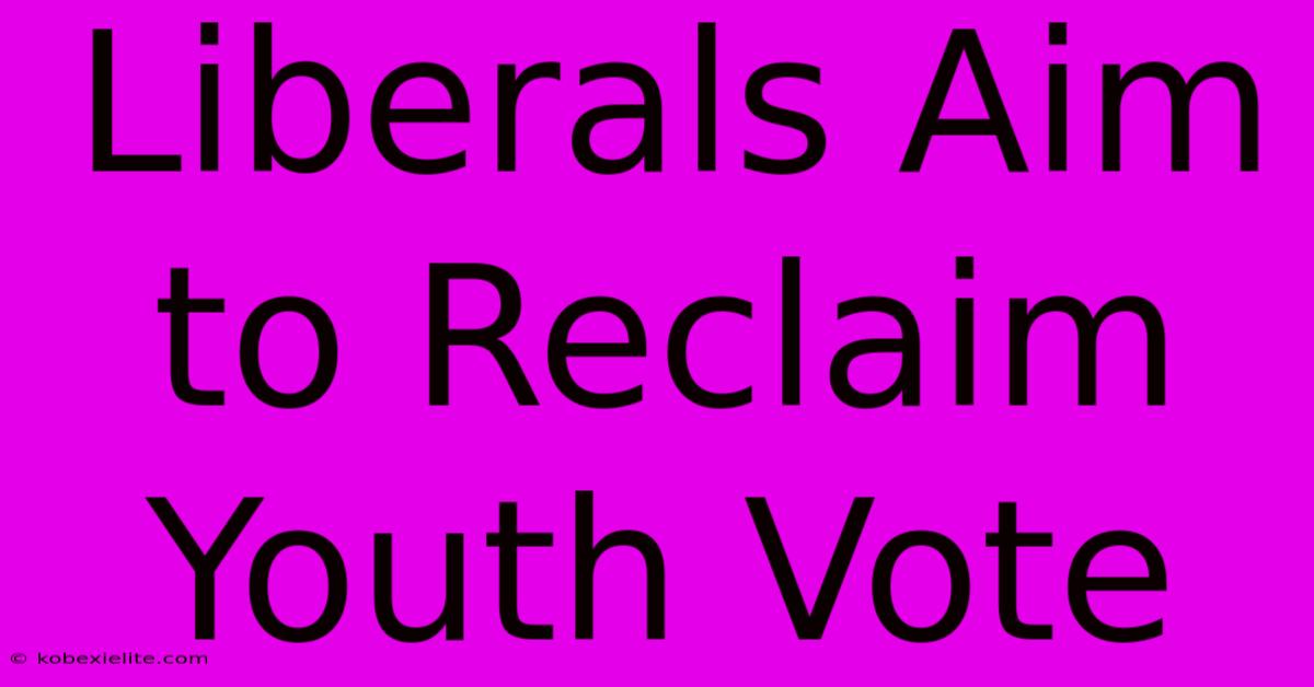 Liberals Aim To Reclaim Youth Vote