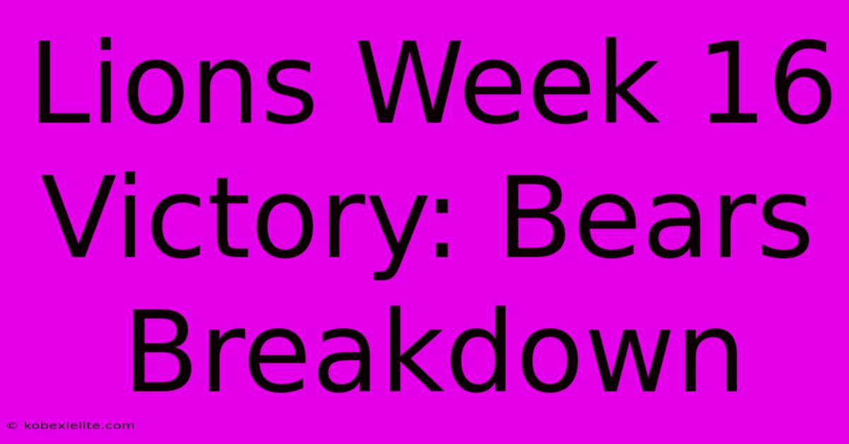 Lions Week 16 Victory: Bears Breakdown