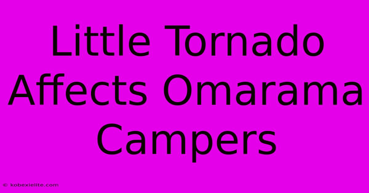 Little Tornado Affects Omarama Campers