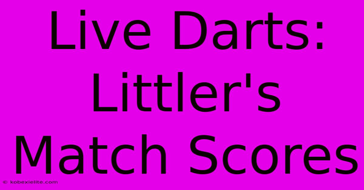 Live Darts: Littler's Match Scores