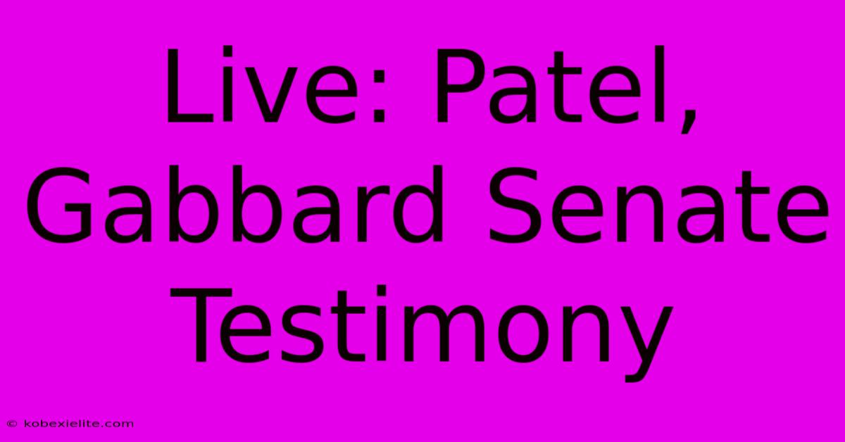 Live: Patel, Gabbard Senate Testimony