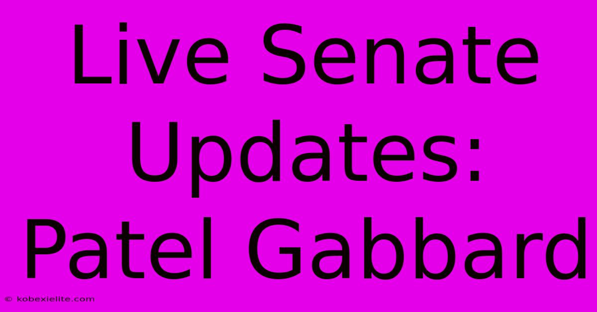 Live Senate Updates: Patel Gabbard