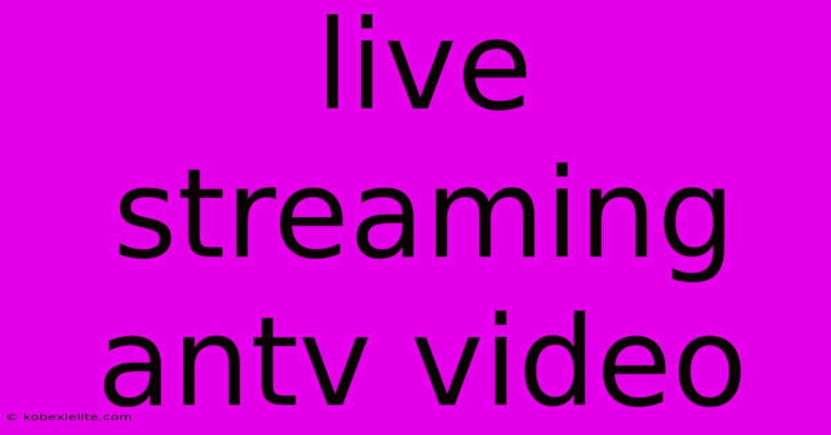 Live Streaming Antv Video