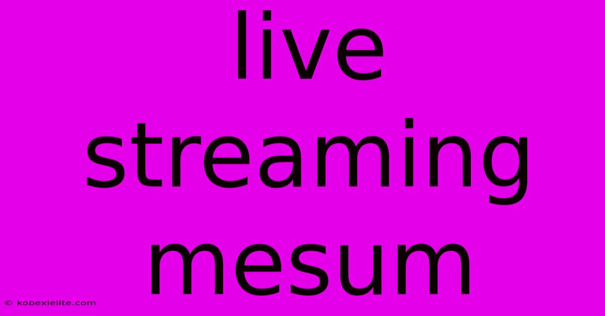 Live Streaming Mesum