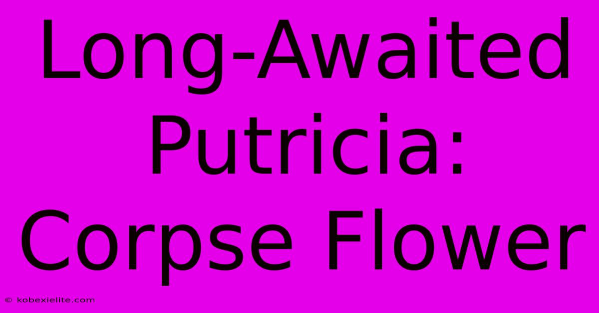 Long-Awaited Putricia: Corpse Flower