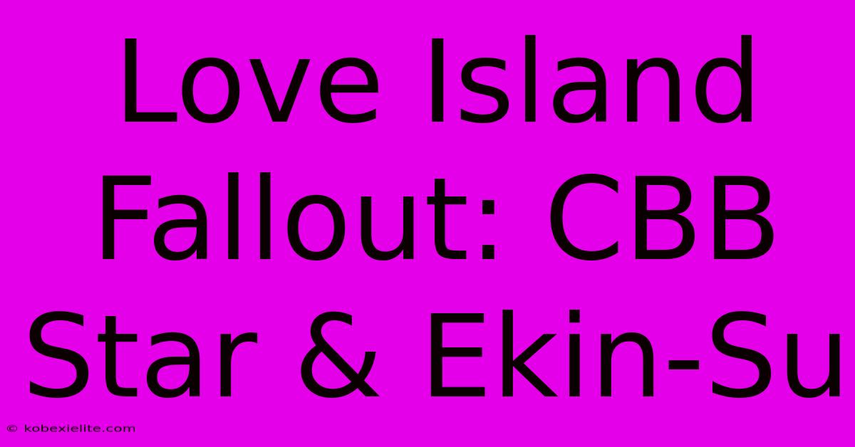 Love Island Fallout: CBB Star & Ekin-Su