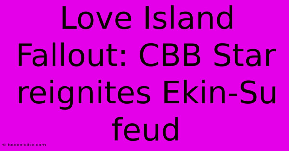 Love Island Fallout: CBB Star Reignites Ekin-Su Feud