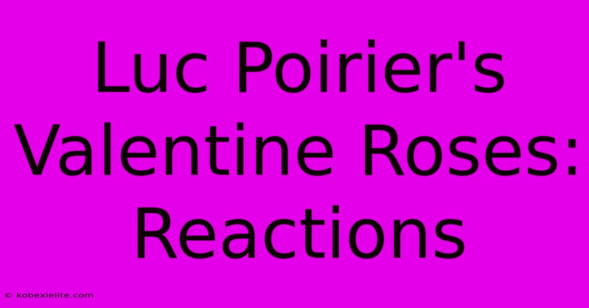 Luc Poirier's Valentine Roses: Reactions