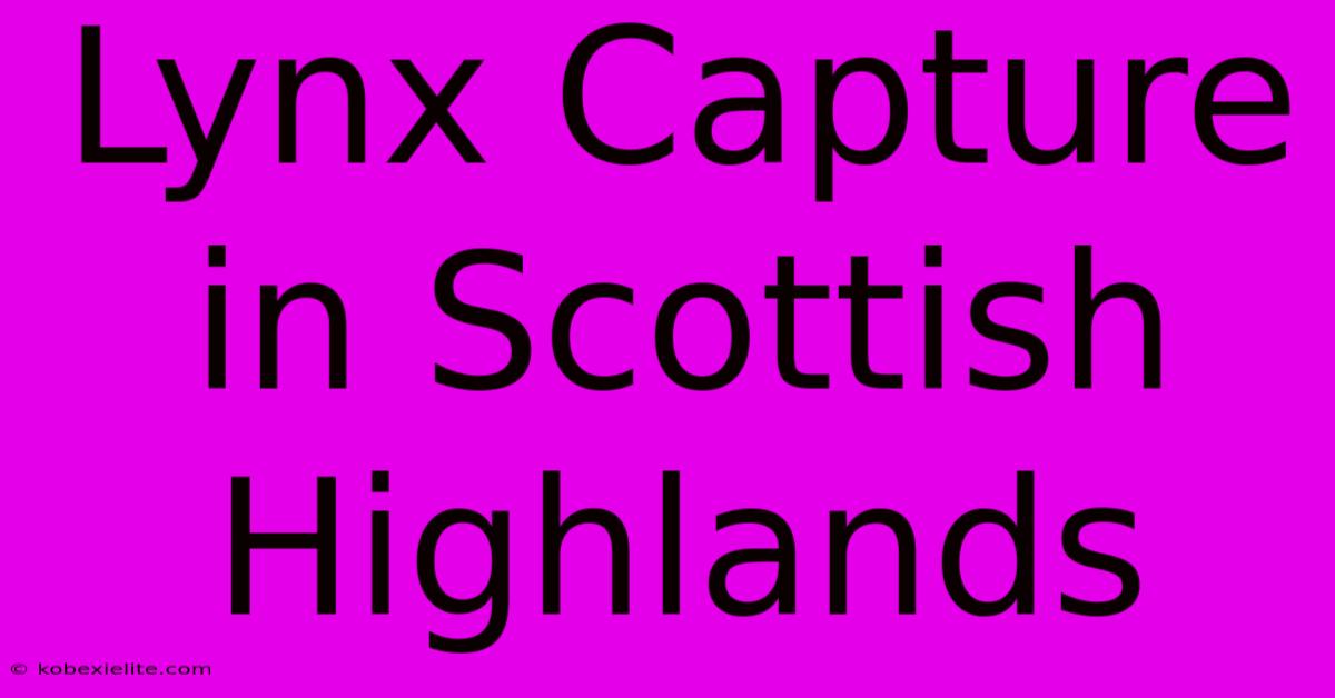 Lynx Capture In Scottish Highlands