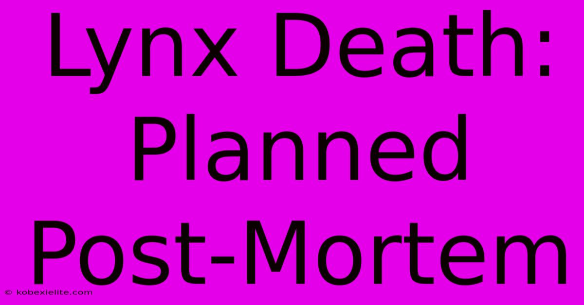 Lynx Death: Planned Post-Mortem