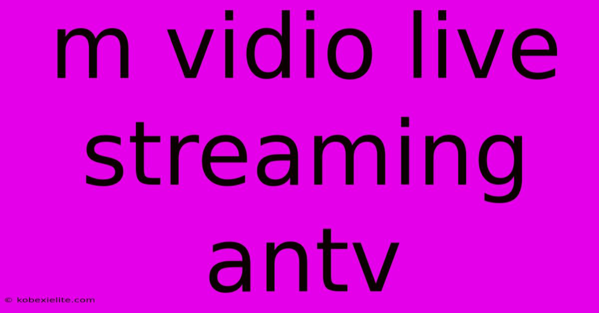 M Vidio Live Streaming Antv