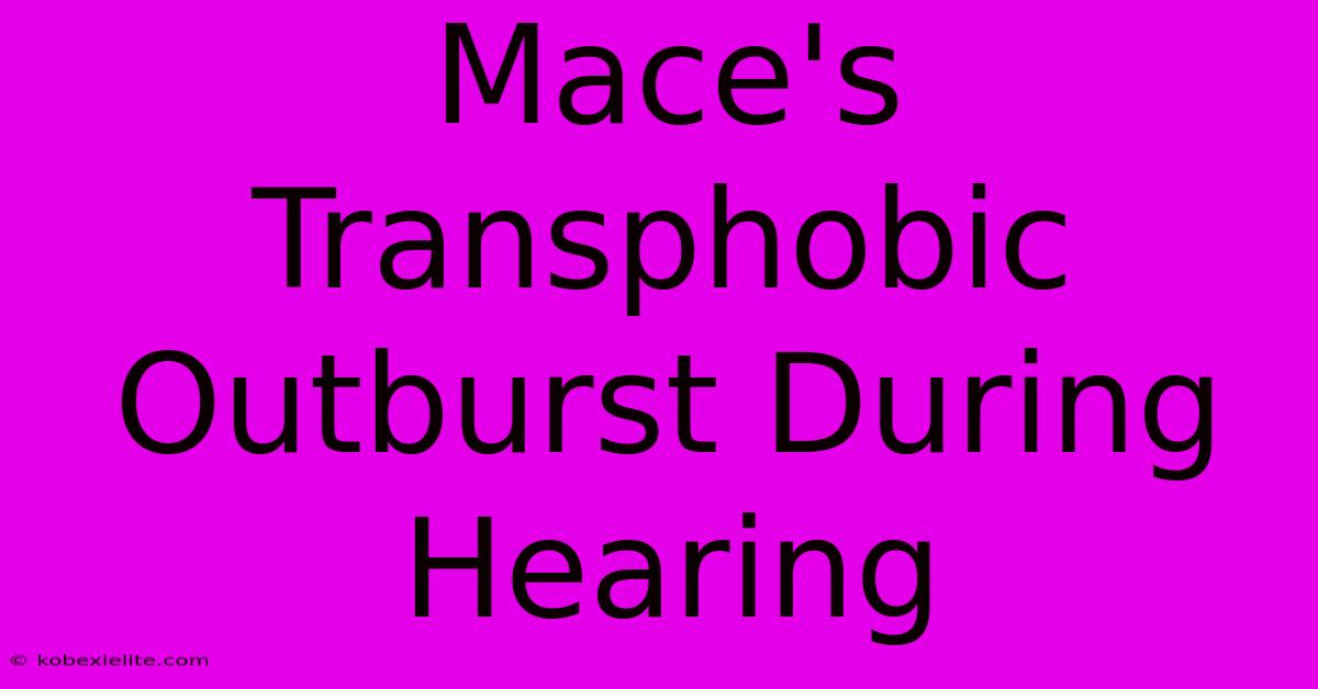 Mace's Transphobic Outburst During Hearing