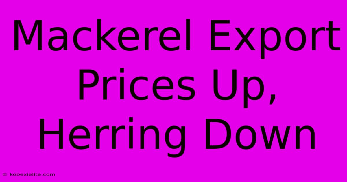 Mackerel Export Prices Up, Herring Down