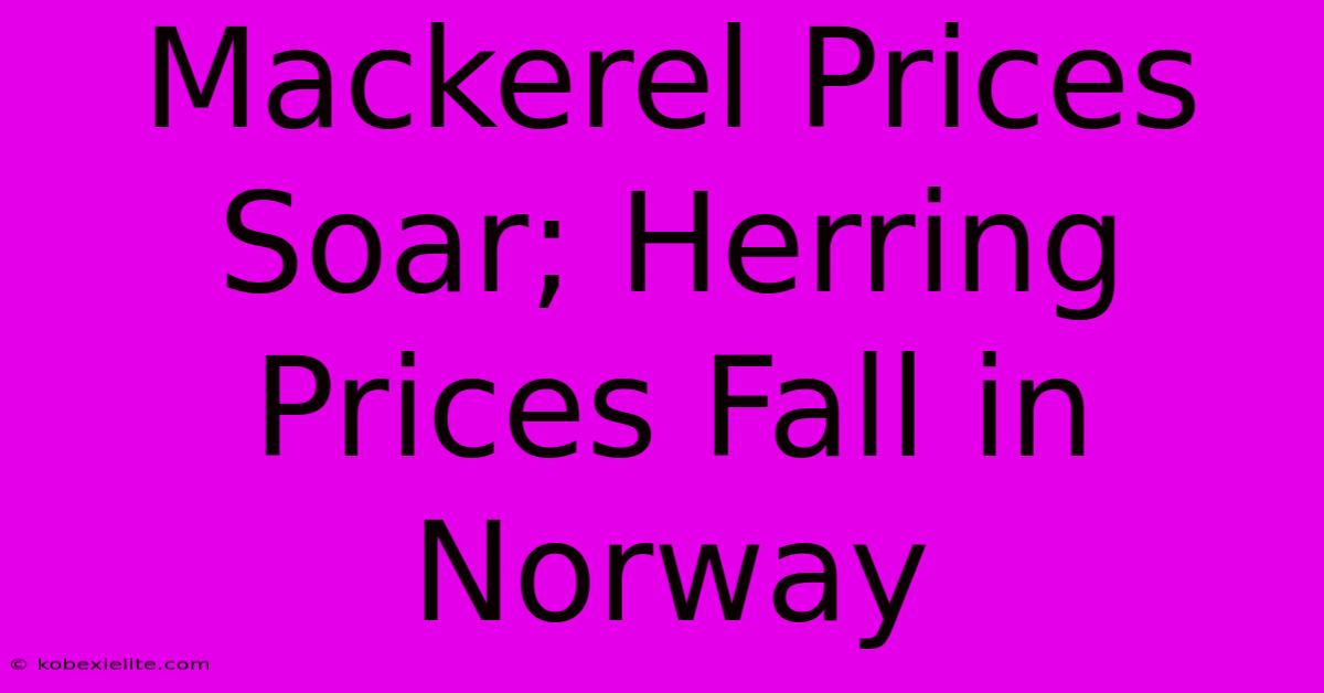 Mackerel Prices Soar; Herring Prices Fall In Norway