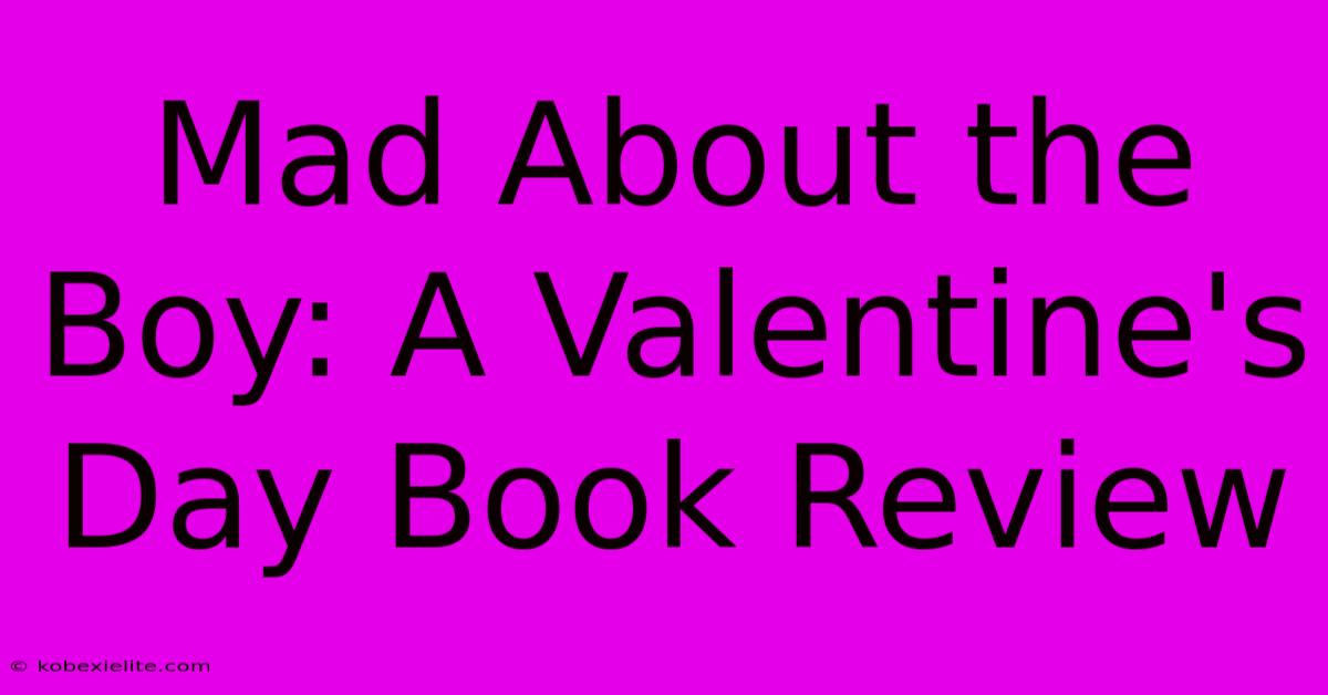 Mad About The Boy: A Valentine's Day Book Review