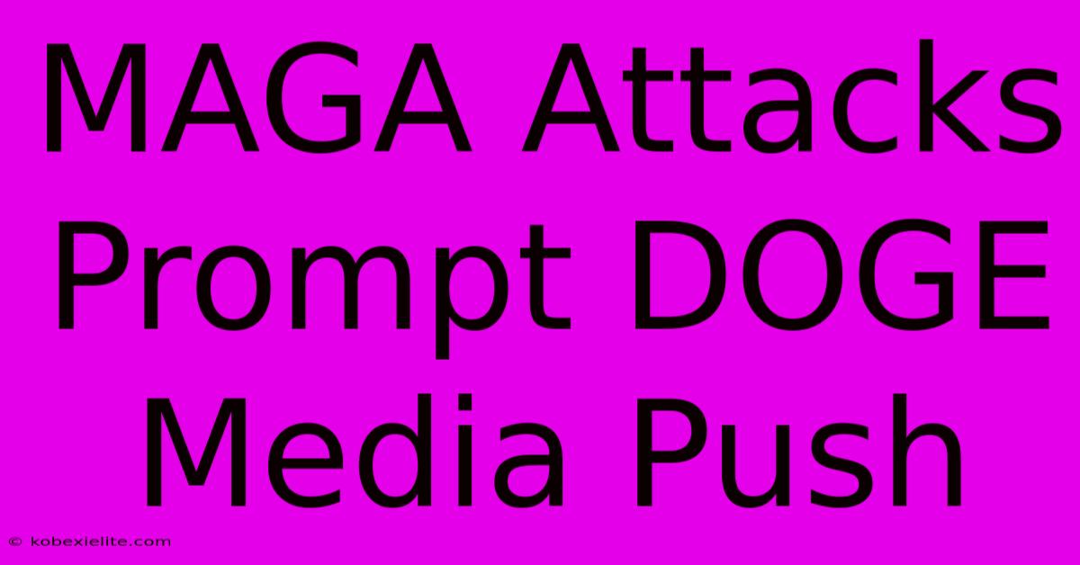 MAGA Attacks Prompt DOGE Media Push