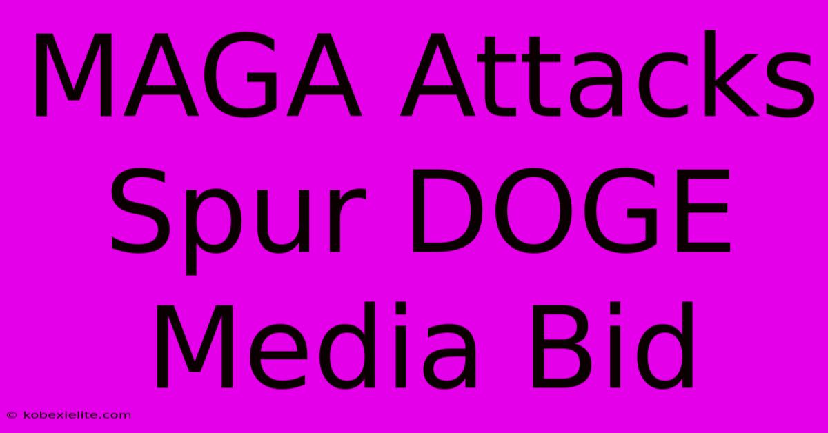 MAGA Attacks Spur DOGE Media Bid