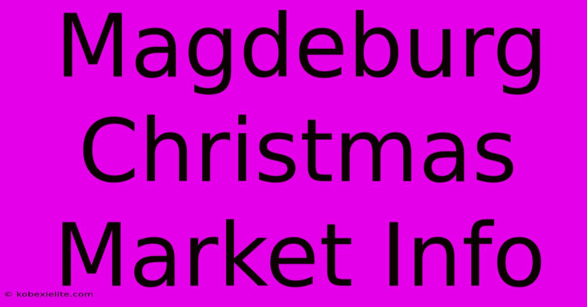 Magdeburg Christmas Market Info