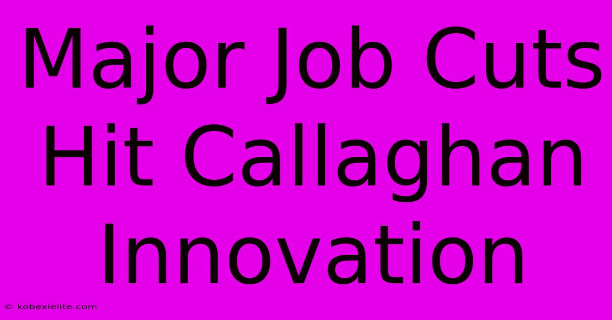 Major Job Cuts Hit Callaghan Innovation