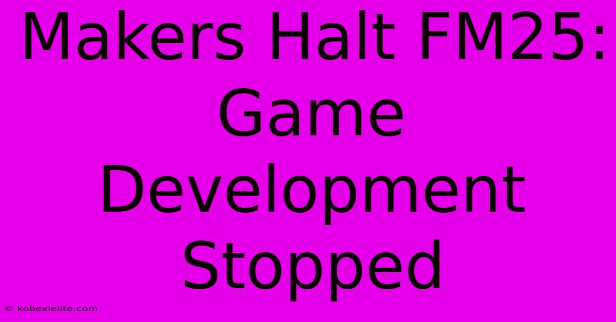 Makers Halt FM25: Game Development Stopped