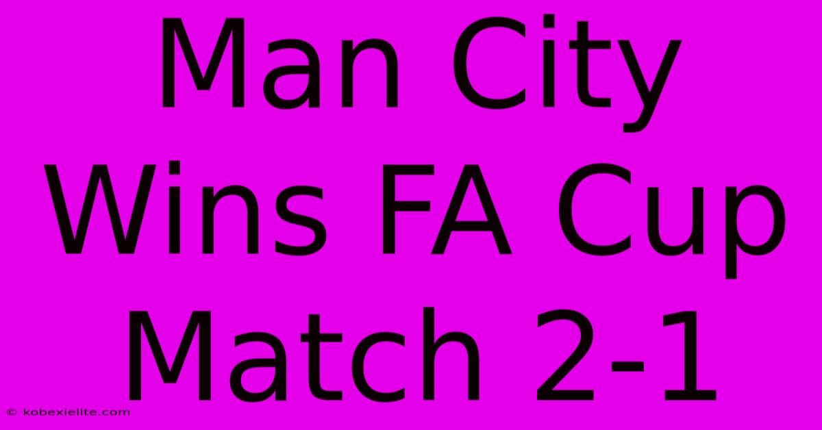 Man City Wins FA Cup Match 2-1