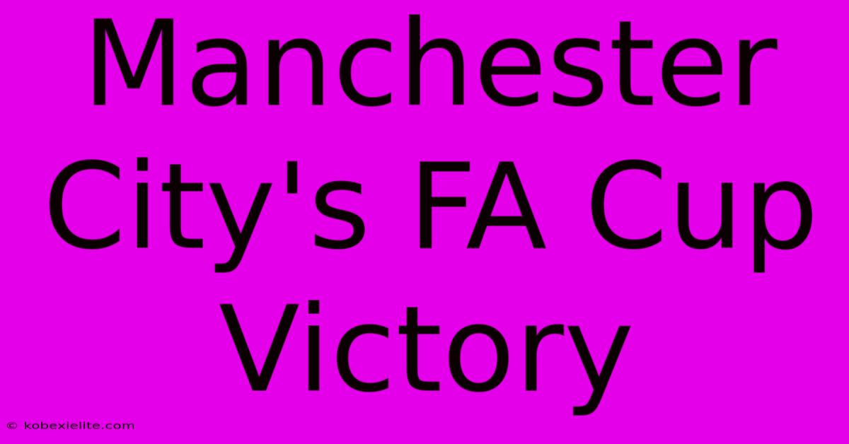 Manchester City's FA Cup Victory