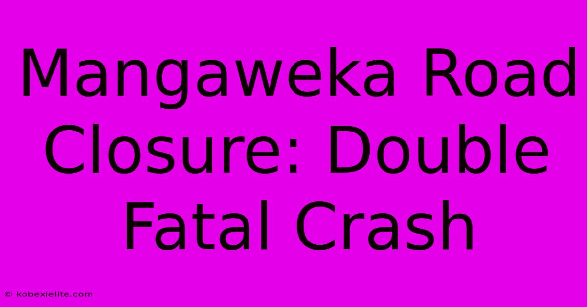 Mangaweka Road Closure: Double Fatal Crash