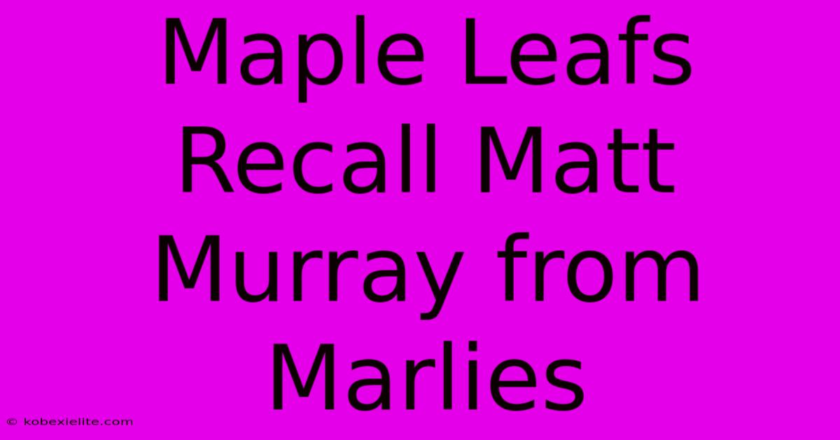 Maple Leafs Recall Matt Murray From Marlies