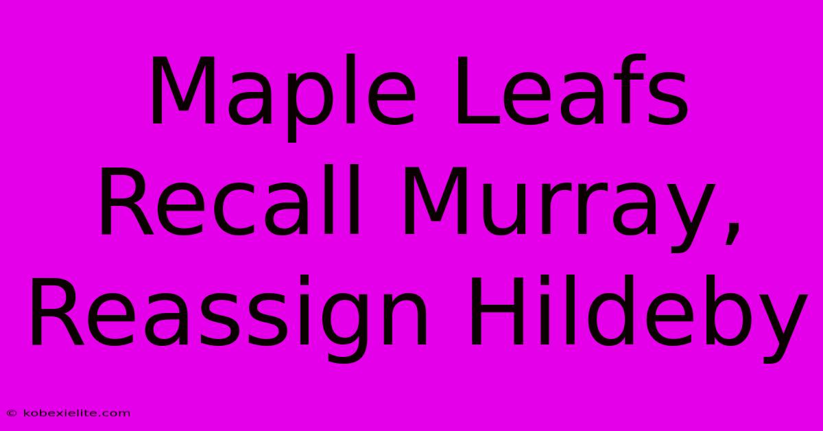 Maple Leafs Recall Murray, Reassign Hildeby